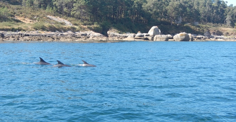 Amare turismo náutico: rutas a las islas de las rías baixas