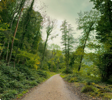 Cuánto cuesta asociarse a AGETAN